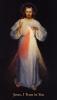 Divine Mercy Chaplet Holy Card(FOR THOSE UNABLE TO ATTEND MASS)